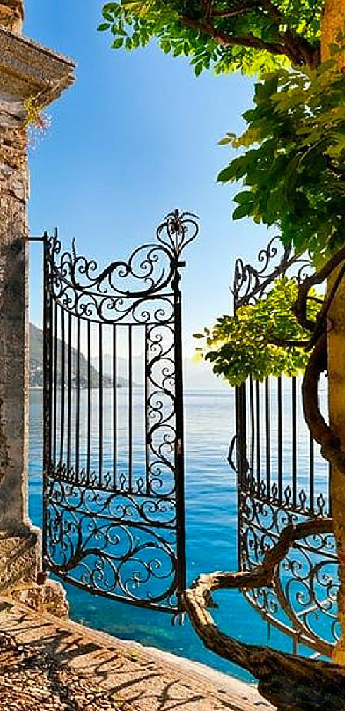 Wonderful wrought iron gate leading to a lake